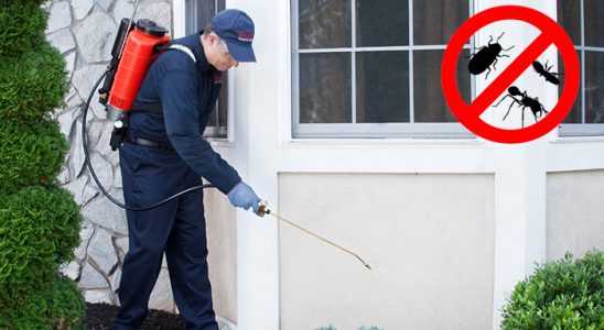 Derinkuyu Karınca İlaçlama böcek ilaçlama ve haşere kontrolü — ilaclama-tr.com
